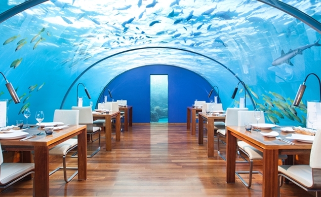 Ithaa Under Sea Restaurant