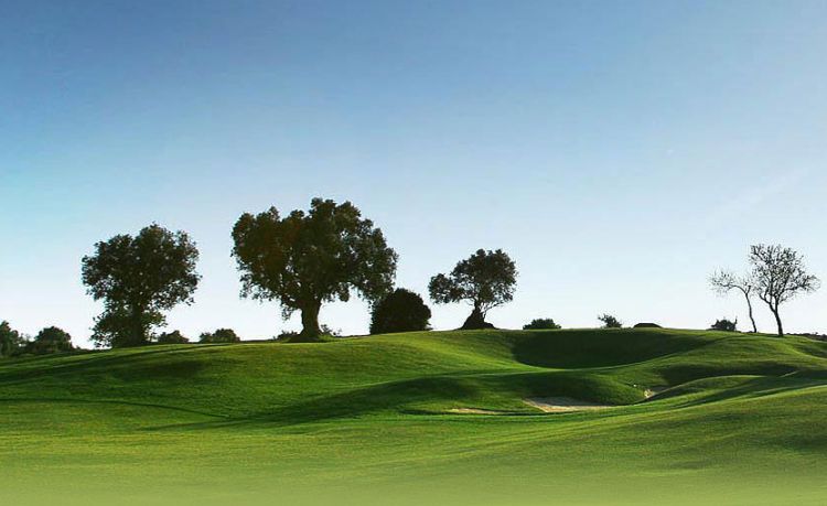 Alto Golf Pestana