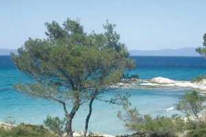 Plaja MEGA DRAFOS