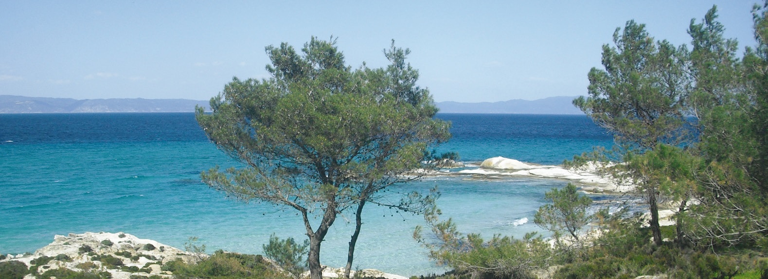 Plaja MEGA DRAFOS