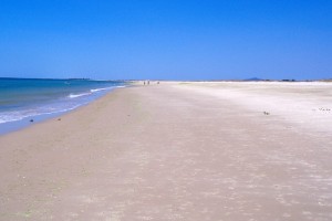 Ilha-de-cabanas-tavira